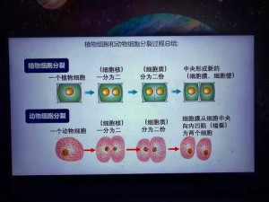 细胞分裂6游戏评测心得：深度探索与体验的全方位解析