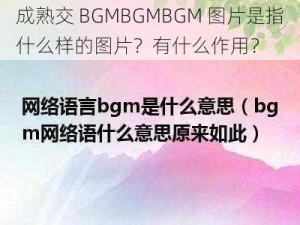 成熟交 BGMBGMBGM 图片是指什么样的图片？有什么作用？