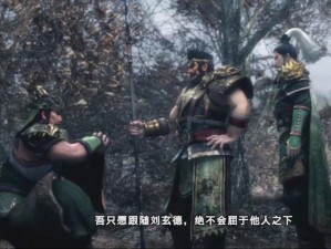 真三国无双6四大国传通关感悟：深度解析游戏内的策略与情感体验