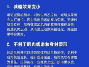 具有神奇拉伸效果的 3 根一起会坏掉的好疼的优质皮筋