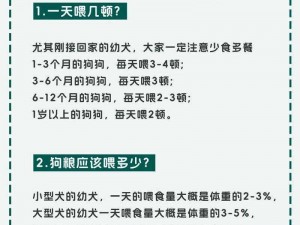 山海镜花狗粮投喂策略：如何合理规划狗粮喂养实现效益最大化