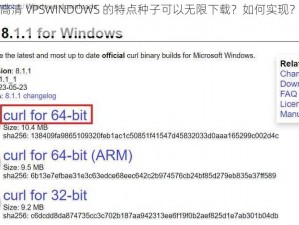 为什么高清 VPSWINDOWS 的特点种子可以无限下载？如何实现？有哪些风险？