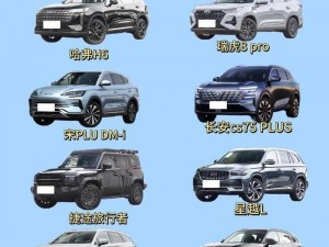 国产又美又漂亮的 SUV 有哪些？为何要关注 BD 版更新？