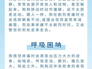 我家狗狗卡在我里面痛怎么办？为什么会这样？如何解决？