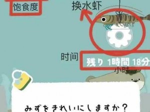 萨卡班甲鱼的养殖秘籍：如何让它们快速生长