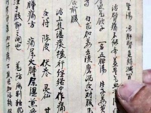 《进击的汉字：妙手回春通关秘籍大揭秘》