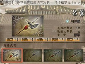 真三国无双4：护卫武将深度培养攻略——打造精英战士的必备指南