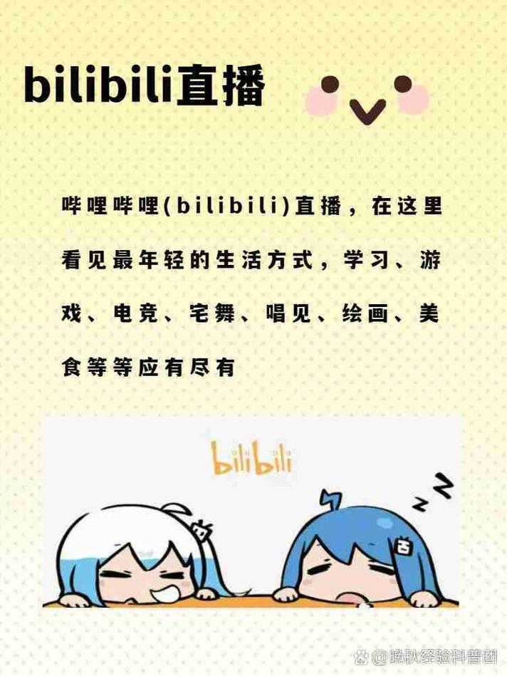 免费看 BILIBILI 私人直播间，无广告，无付费，高清画质，畅享极致体验