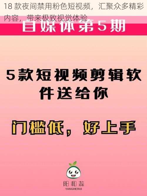 18 款夜间禁用粉色短视频，汇聚众多精彩内容，带来极致视觉体验