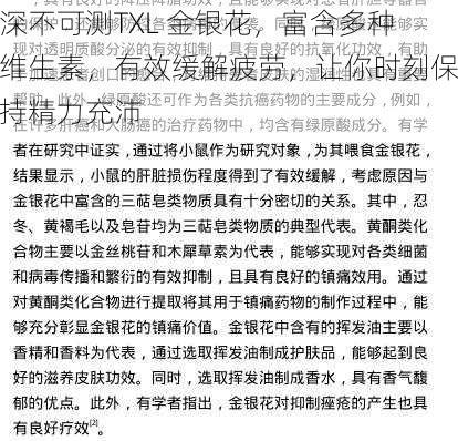 深不可测TXL 金银花，富含多种维生素，有效缓解疲劳，让你时刻保持精力充沛