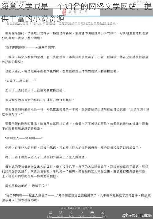 海棠文学城是一个知名的网络文学网站，提供丰富的小说资源