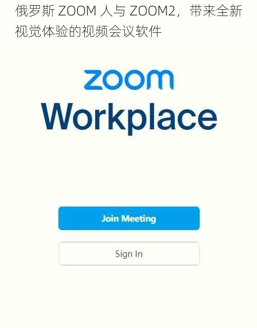 俄罗斯 ZOOM 人与 ZOOM2，带来全新视觉体验的视频会议软件