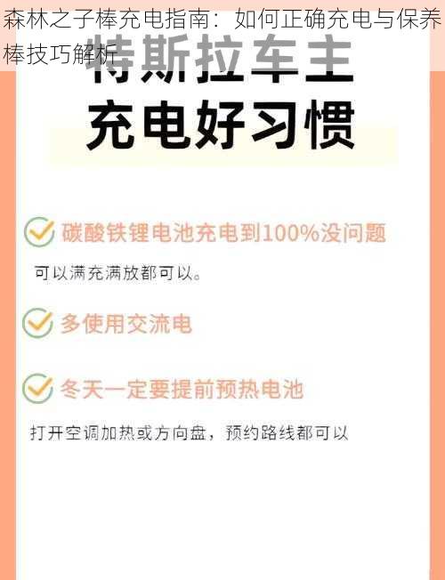 森林之子棒充电指南：如何正确充电与保养棒技巧解析