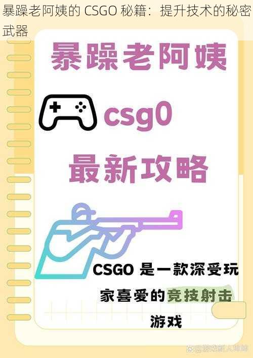 暴躁老阿姨的 CSGO 秘籍：提升技术的秘密武器