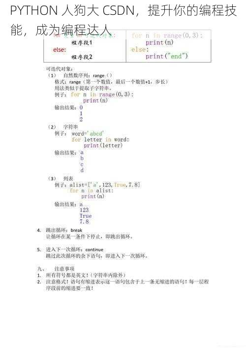 PYTHON 人狗大 CSDN，提升你的编程技能，成为编程达人