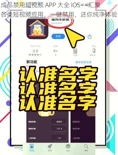 成品禁用短视频 APP 大全 IOS——汇聚各类短视频应用，一键禁用，还你纯净体验