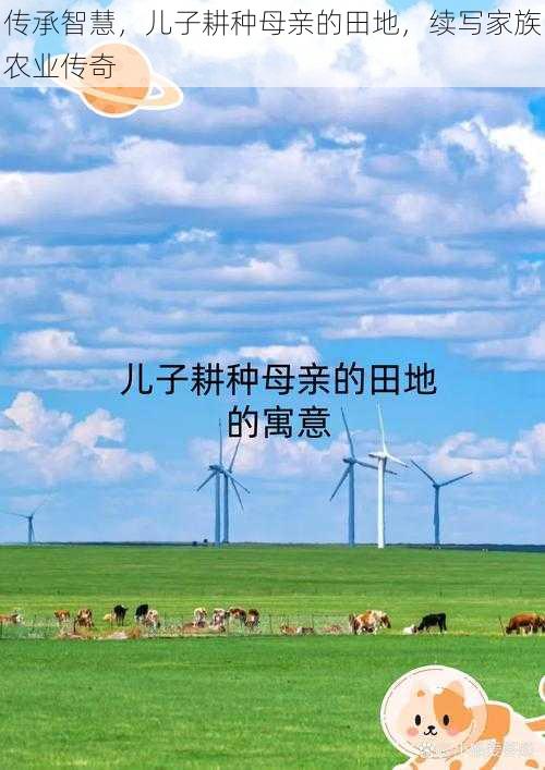 传承智慧，儿子耕种母亲的田地，续写家族农业传奇