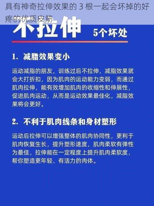 具有神奇拉伸效果的 3 根一起会坏掉的好疼的优质皮筋