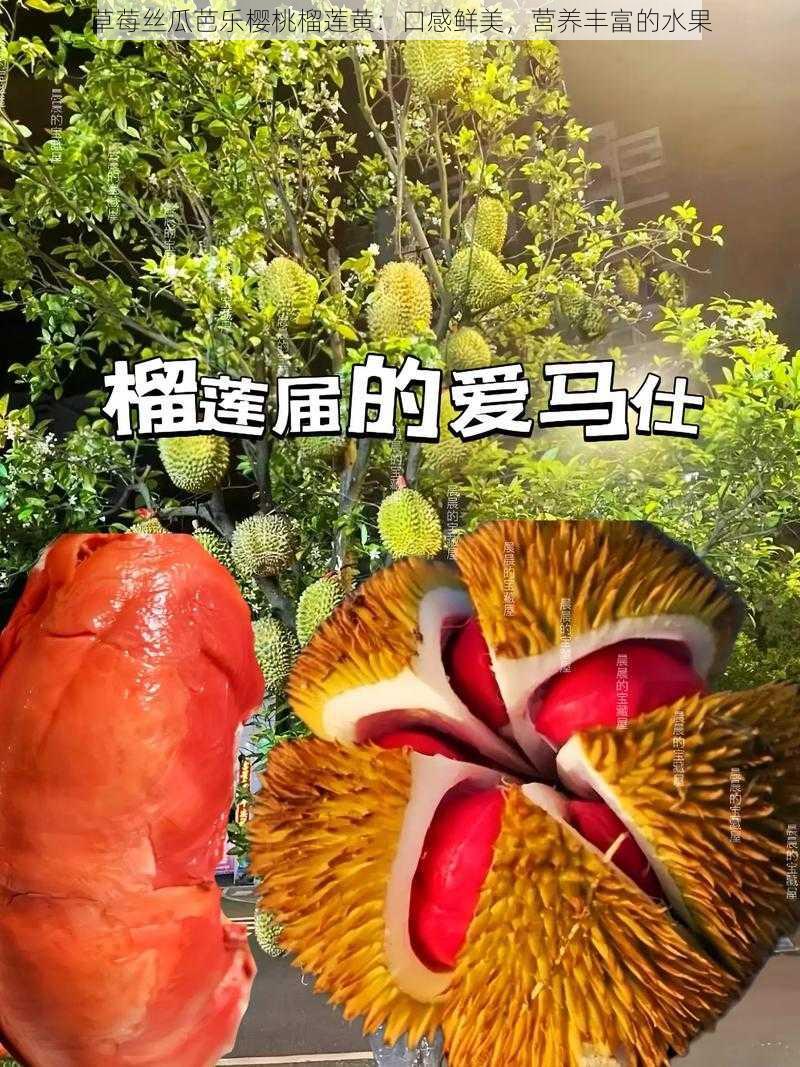 草莓丝瓜芭乐樱桃榴莲黄：口感鲜美，营养丰富的水果