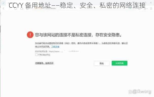 CCYY 备用地址——稳定、安全、私密的网络连接