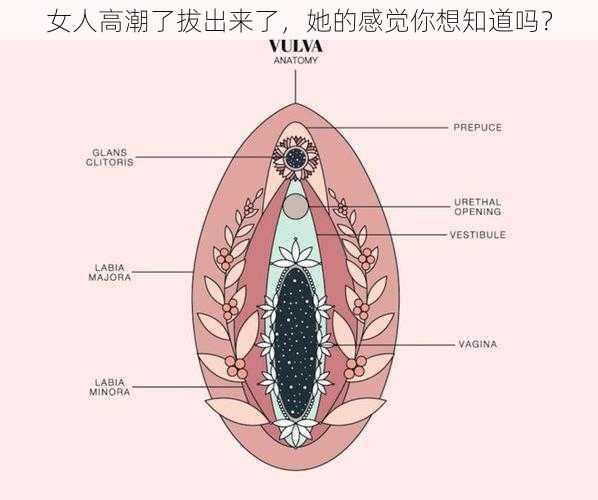 女人高潮了拔出来了，她的感觉你想知道吗？