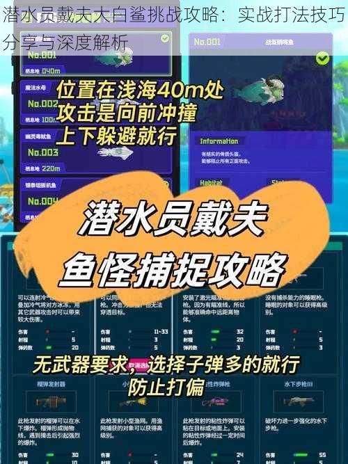 潜水员戴夫大白鲨挑战攻略：实战打法技巧分享与深度解析