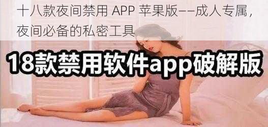 十八款夜间禁用 APP 苹果版——成人专属，夜间必备的私密工具