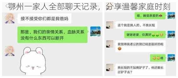 鄂州一家人全部聊天记录，分享温馨家庭时刻