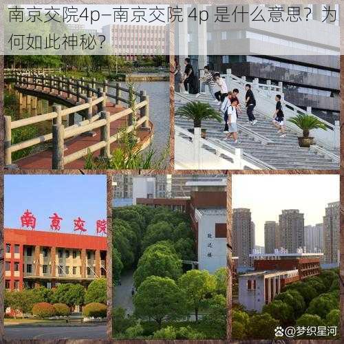 南京交院4p—南京交院 4p 是什么意思？为何如此神秘？