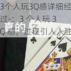 3个人玩3Q感详细经过-：3 个人玩 3Q 感，过程引人入胜