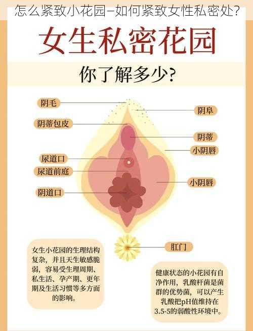 怎么紧致小花园—如何紧致女性私密处？