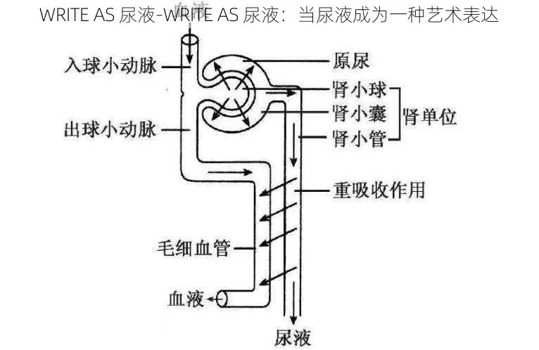 WRITE AS 尿液-WRITE AS 尿液：当尿液成为一种艺术表达