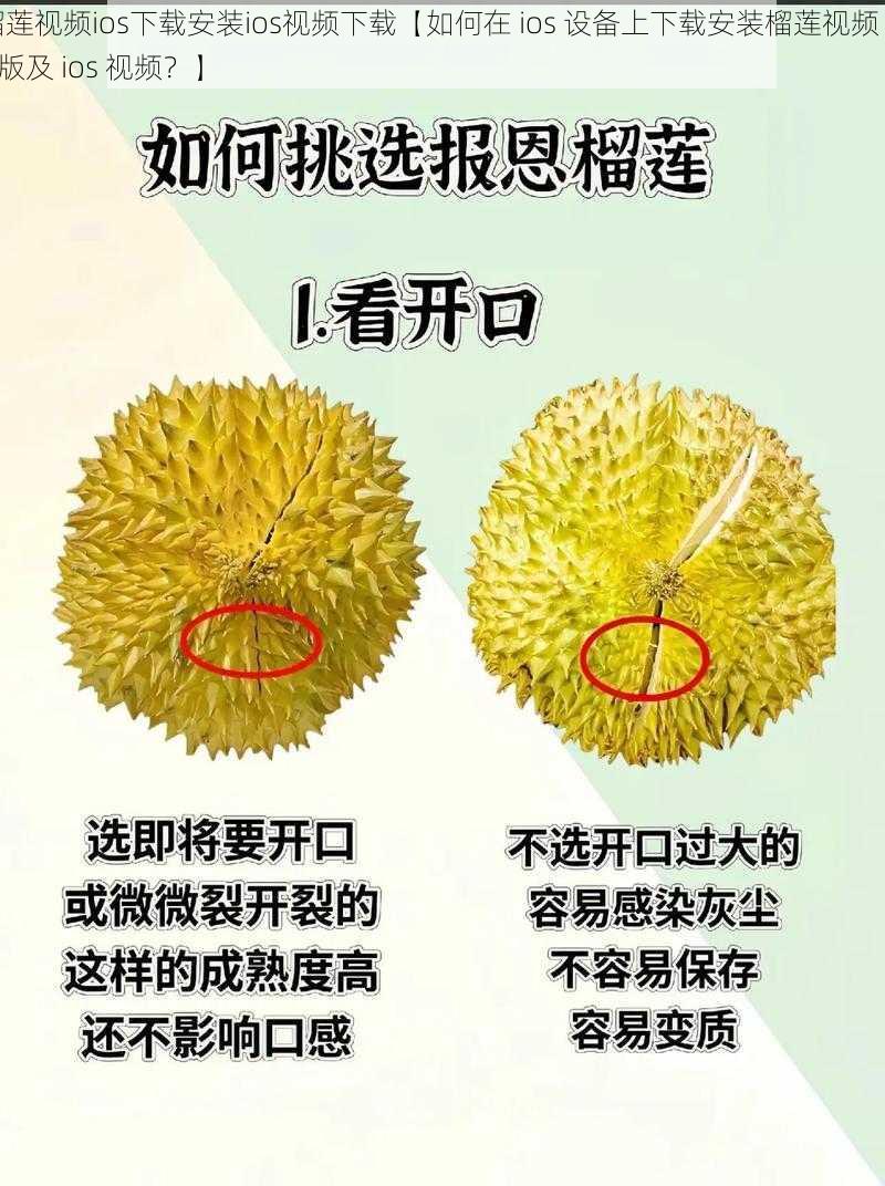 榴莲视频ios下载安装ios视频下载【如何在 ios 设备上下载安装榴莲视频 ios 版及 ios 视频？】