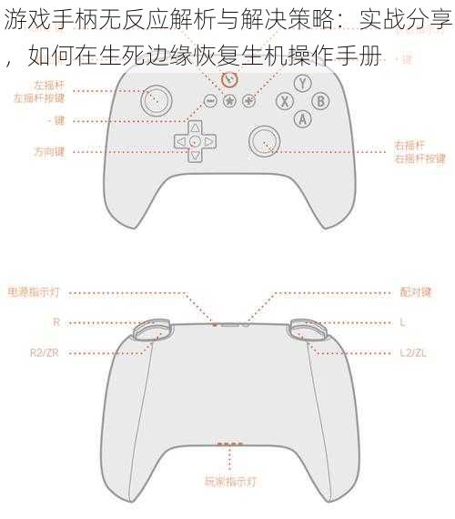 游戏手柄无反应解析与解决策略：实战分享，如何在生死边缘恢复生机操作手册