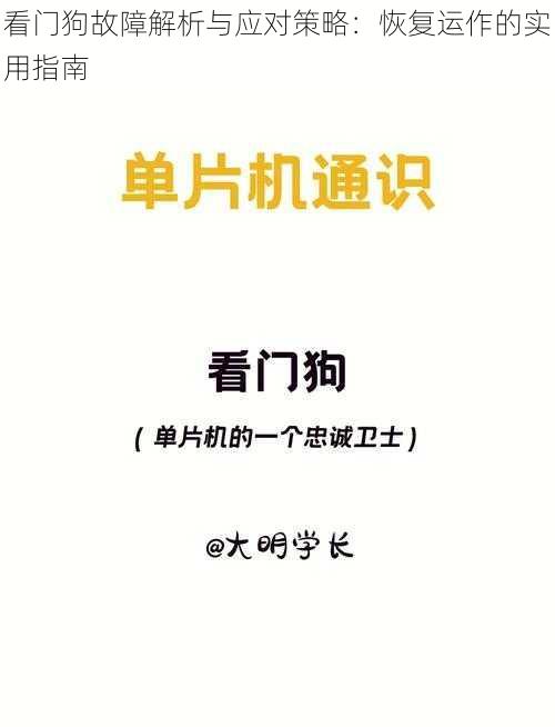 看门狗故障解析与应对策略：恢复运作的实用指南