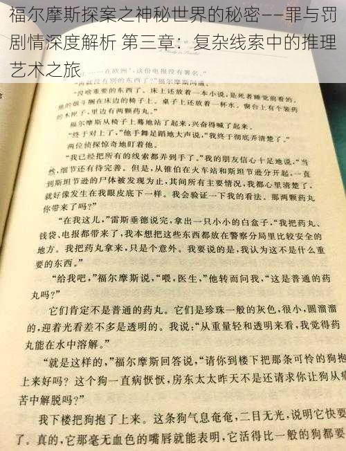 福尔摩斯探案之神秘世界的秘密——罪与罚剧情深度解析 第三章：复杂线索中的推理艺术之旅