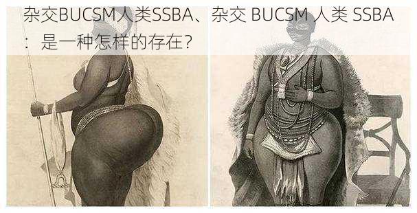 杂交BUCSM人类SSBA、杂交 BUCSM 人类 SSBA：是一种怎样的存在？