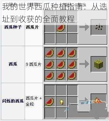 我的世界西瓜种植指南：从选址到收获的全面教程