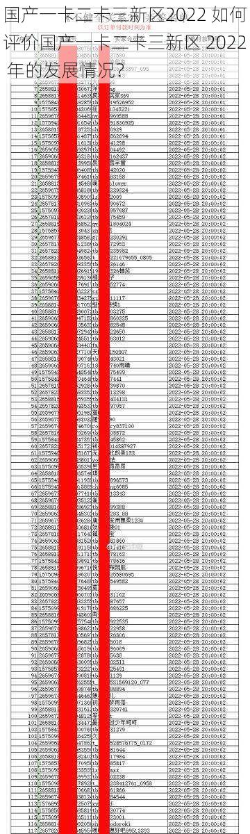 国产一卡二卡三新区2022 如何评价国产一卡二卡三新区 2022 年的发展情况？