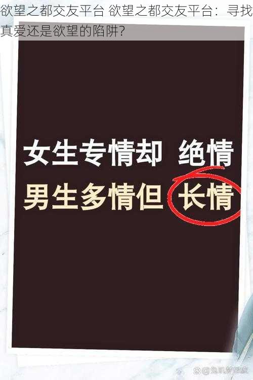 欲望之都交友平台 欲望之都交友平台：寻找真爱还是欲望的陷阱？