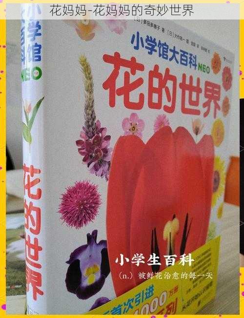 花妈妈-花妈妈的奇妙世界