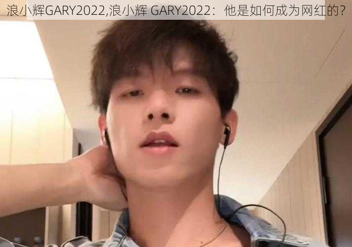 浪小辉GARY2022,浪小辉 GARY2022：他是如何成为网红的？