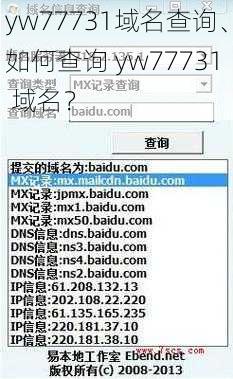 yw77731域名查询、如何查询 yw77731 域名？