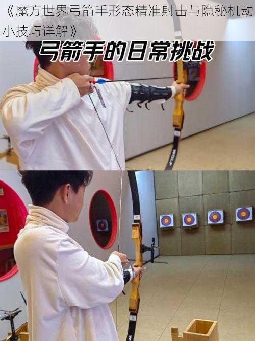 《魔方世界弓箭手形态精准射击与隐秘机动小技巧详解》