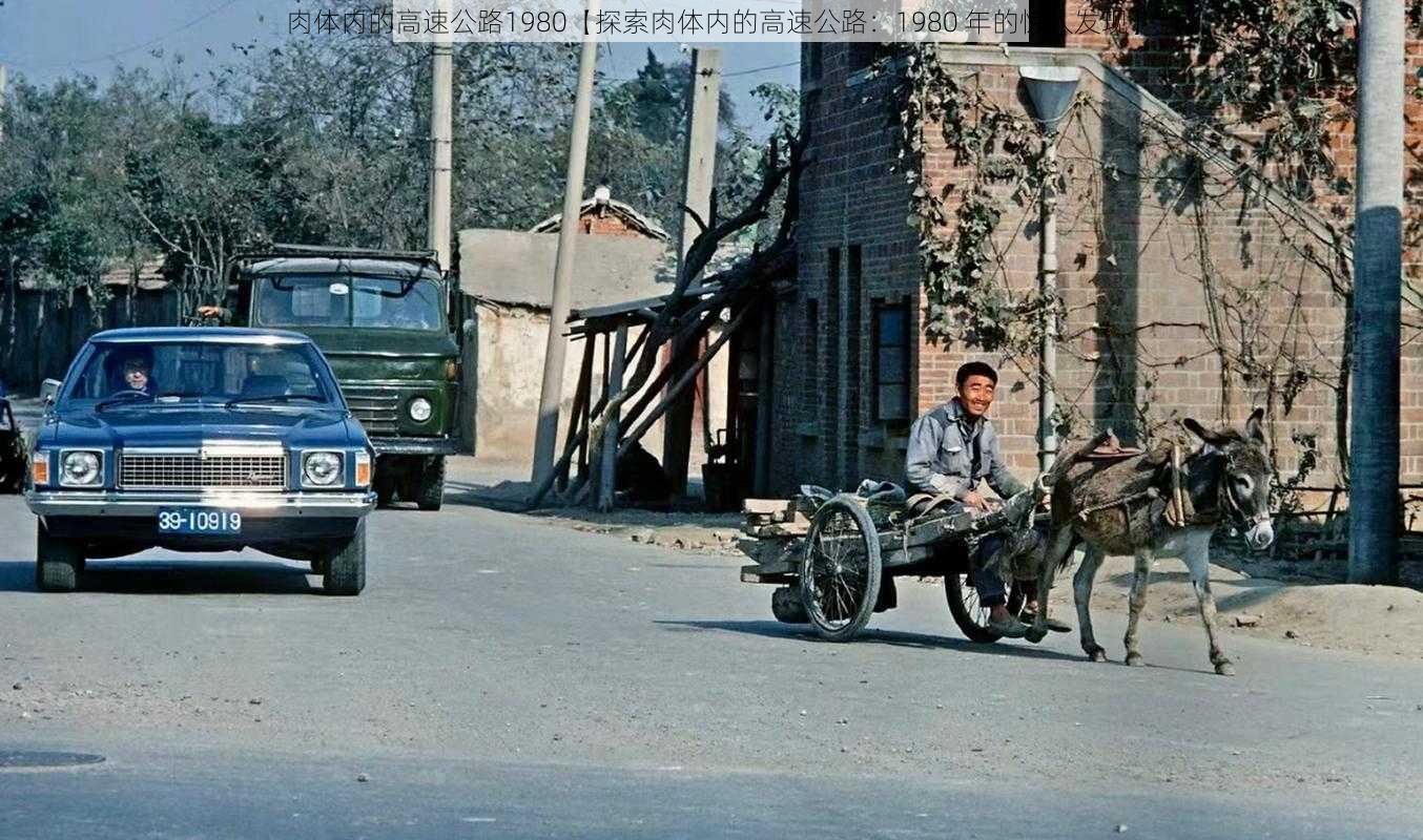 肉体内的高速公路1980【探索肉体内的高速公路：1980 年的惊人发现】