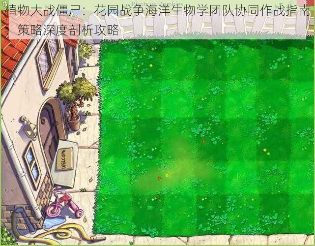 植物大战僵尸：花园战争海洋生物学团队协同作战指南：策略深度剖析攻略