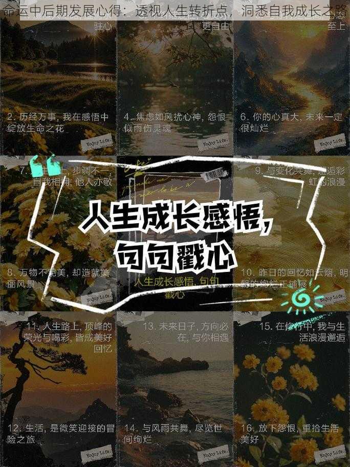 命运中后期发展心得：透视人生转折点，洞悉自我成长之路