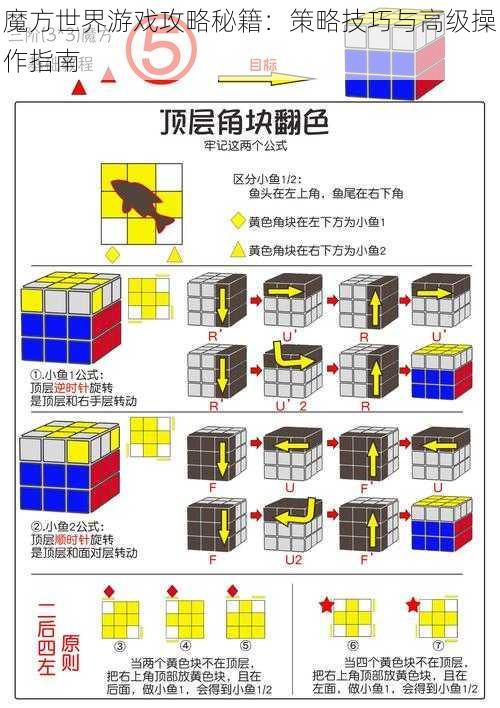 魔方世界游戏攻略秘籍：策略技巧与高级操作指南