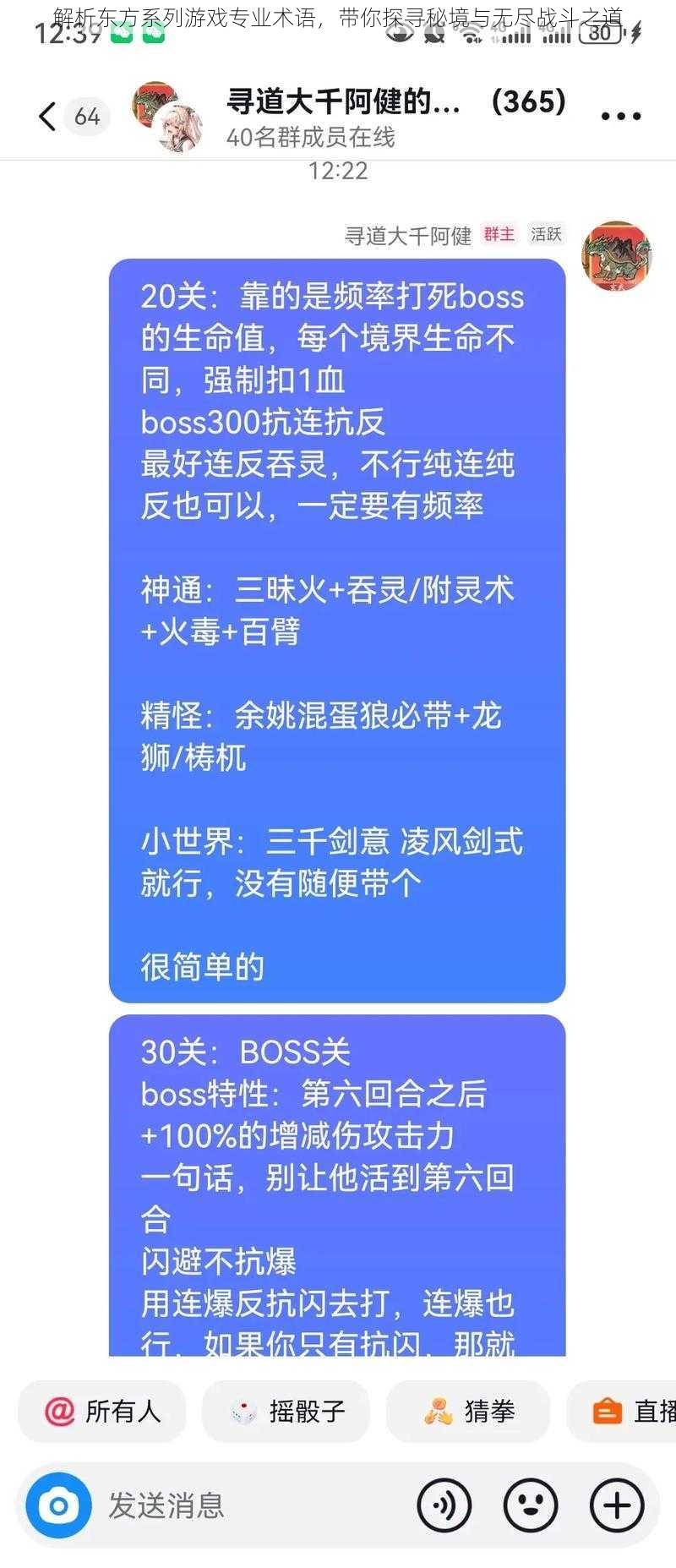 解析东方系列游戏专业术语，带你探寻秘境与无尽战斗之道