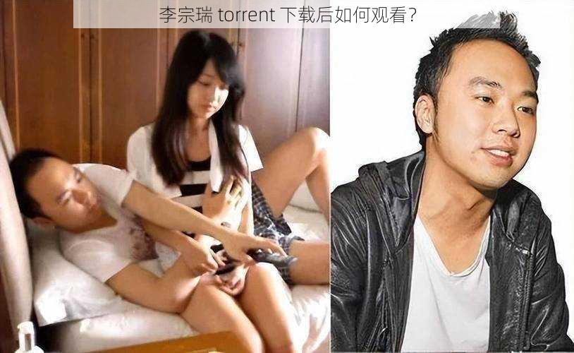 李宗瑞 torrent 下载后如何观看？